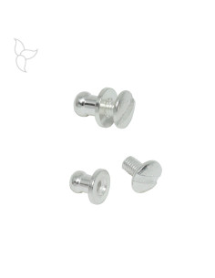 Rivet avec vis vendu par 20 pièces